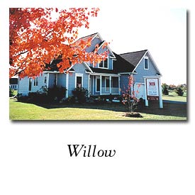 Willow